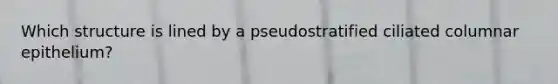 Which structure is lined by a pseudostratified ciliated columnar epithelium?