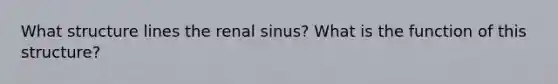 What structure lines the renal sinus? What is the function of this structure?