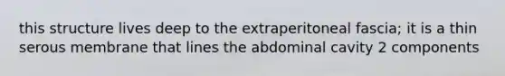 this structure lives deep to the extraperitoneal fascia; it is a thin serous membrane that lines the abdominal cavity 2 components