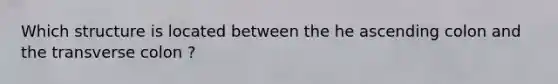 Which structure is located between the he ascending colon and the transverse colon ?