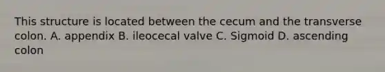 This structure is located between the cecum and the transverse colon. A. appendix B. ileocecal valve C. Sigmoid D. ascending colon