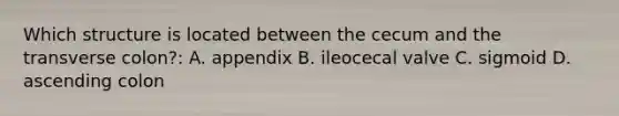 Which structure is located between the cecum and the transverse colon?: A. appendix B. ileocecal valve C. sigmoid D. ascending colon