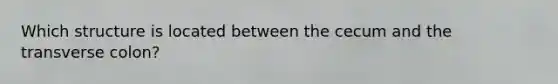 Which structure is located between the cecum and the transverse colon?