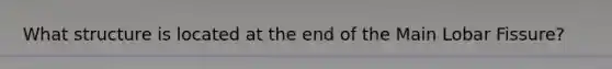 What structure is located at the end of the Main Lobar Fissure?