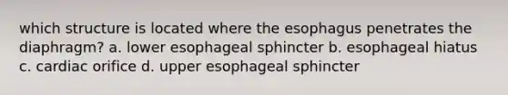 which structure is located where the esophagus penetrates the diaphragm? a. lower esophageal sphincter b. esophageal hiatus c. cardiac orifice d. upper esophageal sphincter