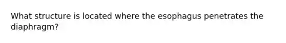 What structure is located where the esophagus penetrates the diaphragm?