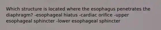 Which structure is located where the esophagus penetrates the diaphragm? -esophageal hiatus -cardiac orifice -upper esophageal sphincter -lower esophageal sphincter