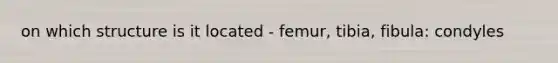 on which structure is it located - femur, tibia, fibula: condyles