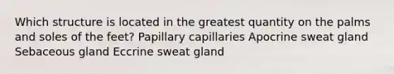 Which structure is located in the greatest quantity on the palms and soles of the feet? Papillary capillaries Apocrine sweat gland Sebaceous gland Eccrine sweat gland