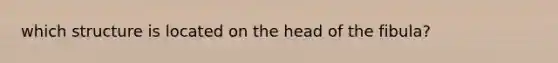 which structure is located on the head of the fibula?