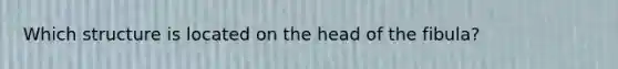 Which structure is located on the head of the fibula?