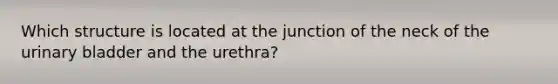 Which structure is located at the junction of the neck of the urinary bladder and the urethra?