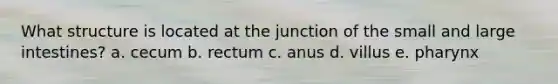 What structure is located at the junction of the small and <a href='https://www.questionai.com/knowledge/kGQjby07OK-large-intestine' class='anchor-knowledge'>large intestine</a>s? a. cecum b. rectum c. anus d. villus e. pharynx