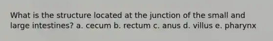 What is the structure located at the junction of the small and large intestines? a. cecum b. rectum c. anus d. villus e. pharynx