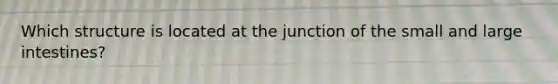 Which structure is located at the junction of the small and large intestines?