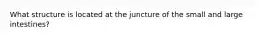 What structure is located at the juncture of the small and large intestines?