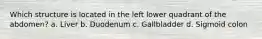 Which structure is located in the left lower quadrant of the abdomen? a. Liver b. Duodenum c. Gallbladder d. Sigmoid colon