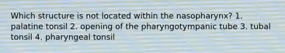 Which structure is not located within the nasopharynx? 1. palatine tonsil 2. opening of the pharyngotympanic tube 3. tubal tonsil 4. pharyngeal tonsil