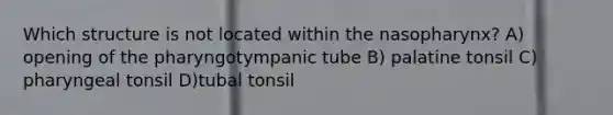 Which structure is not located within the nasopharynx? A) opening of the pharyngotympanic tube B) palatine tonsil C) pharyngeal tonsil D)tubal tonsil