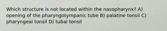 Which structure is not located within the nasopharynx? A) opening of the pharyngotympanic tube B) palatine tonsil C) pharyngeal tonsil D) tubal tonsil