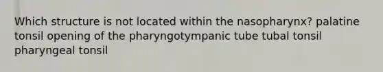 Which structure is not located within the nasopharynx? palatine tonsil opening of the pharyngotympanic tube tubal tonsil pharyngeal tonsil