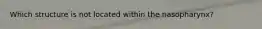 Which structure is not located within the nasopharynx?