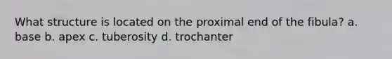 What structure is located on the proximal end of the fibula? a. base b. apex c. tuberosity d. trochanter