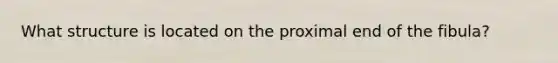 What structure is located on the proximal end of the fibula?