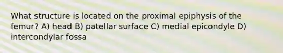 What structure is located on the proximal epiphysis of the femur? A) head B) patellar surface C) medial epicondyle D) intercondylar fossa