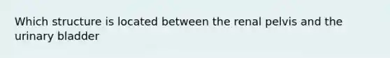 Which structure is located between the renal pelvis and the <a href='https://www.questionai.com/knowledge/kb9SdfFdD9-urinary-bladder' class='anchor-knowledge'>urinary bladder</a>