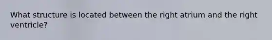 What structure is located between the right atrium and the right ventricle?