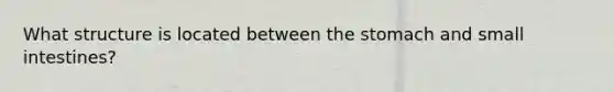 What structure is located between <a href='https://www.questionai.com/knowledge/kLccSGjkt8-the-stomach' class='anchor-knowledge'>the stomach</a> and small intestines?