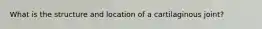 What is the structure and location of a cartilaginous joint?