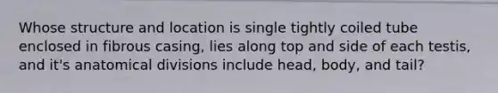 Whose structure and location is single tightly coiled tube enclosed in fibrous casing, lies along top and side of each testis, and it's anatomical divisions include head, body, and tail?