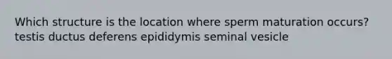 Which structure is the location where sperm maturation occurs? testis ductus deferens epididymis seminal vesicle