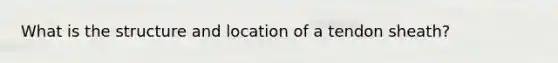 What is the structure and location of a tendon sheath?