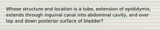 Whose structure and location is a tube, extension of epididymis, extends through inguinal canal into abdominal cavity, and over top and down posterior surface of bladder?