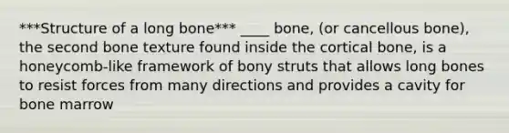 ***Structure of a long bone*** ____ bone, (or cancellous bone), the second bone texture found inside the cortical bone, is a honeycomb-like framework of bony struts that allows long bones to resist forces from many directions and provides a cavity for bone marrow