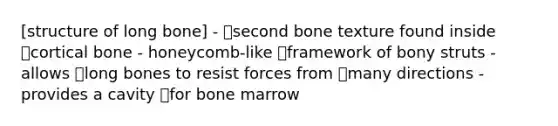 [structure of long bone] - second bone texture found inside cortical bone - honeycomb-like framework of bony struts - allows long bones to resist forces from many directions - provides a cavity for bone marrow