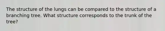 The structure of the lungs can be compared to the structure of a branching tree. What structure corresponds to the trunk of the tree?