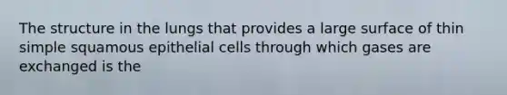 The structure in the lungs that provides a large surface of thin simple squamous epithelial cells through which gases are exchanged is the