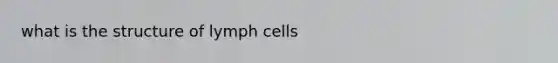 what is the structure of lymph cells