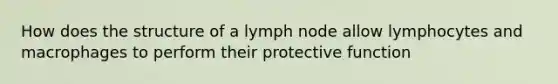 How does the structure of a lymph node allow lymphocytes and macrophages to perform their protective function