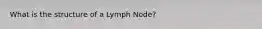 What is the structure of a Lymph Node?