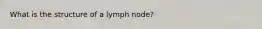 What is the structure of a lymph node?