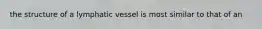 the structure of a lymphatic vessel is most similar to that of an
