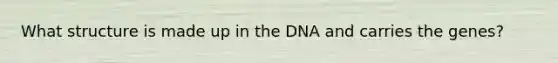 What structure is made up in the DNA and carries the genes?