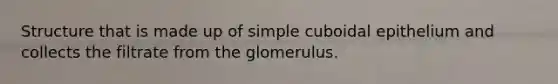 Structure that is made up of simple cuboidal epithelium and collects the filtrate from the glomerulus.