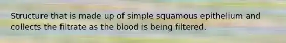 Structure that is made up of simple squamous epithelium and collects the filtrate as <a href='https://www.questionai.com/knowledge/k7oXMfj7lk-the-blood' class='anchor-knowledge'>the blood</a> is being filtered.