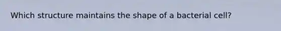 Which structure maintains the shape of a bacterial cell?